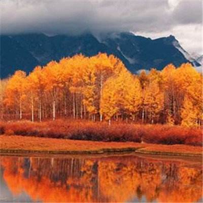 b体育官方下载入口手机版截图